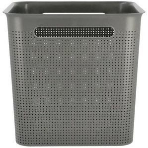 Rotho Aufbewahrungsbox | grau | Polypropylen | 29 cm | 28 cm | cm 29,0 |