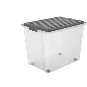 Rotho Aufbewahrungsbox mit Deckel | grau | Polypropylen | 39,5 cm | 43,5 cm |