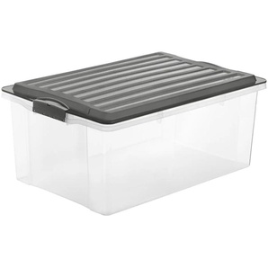 Rotho Aufbewahrungsbox mit Deckel | grau | Polypropylen | 40 cm | 25 cm |