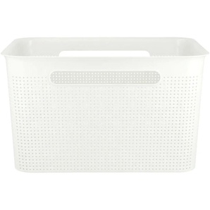 Rotho Aufbewahrungsbox | weiß | Polypropylen | 36 cm | 21 cm | cm 26,0 |