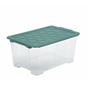 Rotho BOX EVO Safe, Grün, Transparent, Kunststoff, 39.5x28x59 cm, Reach, DIN EN ISO 14001, DIN EN ISO 9001, luftdichter Verschluss, Tragegriff, Deckel