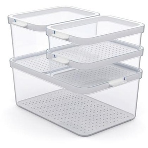 Rotho Kühlschrankbox Cauma, Weiß, Kunststoff, 18.7x19x28.4 cm, BPA-frei, Reach, DIN EN ISO 14001, DIN EN ISO 9001, Küchenzubehör, Vorratsbehälter,