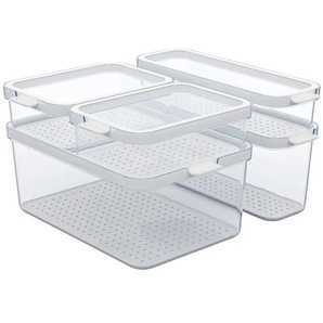 Rotho Kühlschrankorganizer-Set Cauma - transparent/klar - Kunststoff - 29,2 cm - 28,4 cm - cm 17,0 | Möbel Kraft