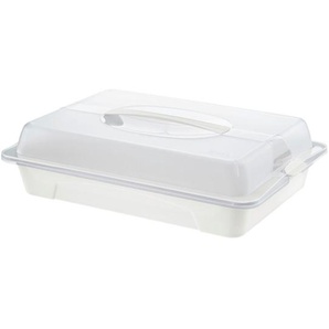Rotho Partybutler Cool & Fresh, Kunststoff, rechteckig, 29.5x11x43.5 cm, Reach, DIN EN ISO 14001, DIN EN ISO 9001, lebensmittelecht, Tragegriff,