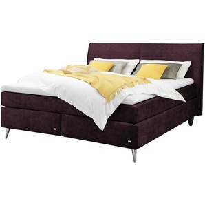 RUF Boxspringbett  Aurelia ¦ rot ¦ Maße (cm): B: 170 H: 114
