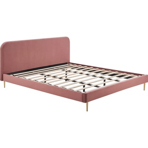 Polsterbett SALESFEVER Betten Gr. Samt 180x200 cm, Liegefläche B/L: 180 cm x 200 cm Betthöhe: 29,5 cm, kein Härtegrad, ohne Matratze, rosa (rose, gold, rose, rose) Polsterbetten ohne Bettkasten Beine Chrom goldfarben
