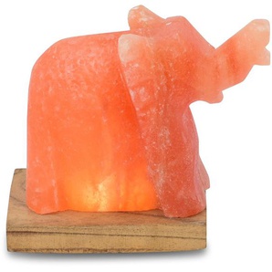 Salzkristall-Tischlampe HIMALAYA SALT DREAMS Elefant Lampen Gr. Ø 7 cm Höhe: 11 cm, orange Dekoleuchten Handgefertigt aus Salzkristall - jeder Stein ein Unikat, H: ca.11 cm