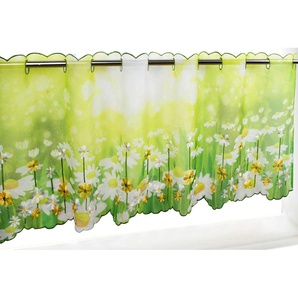 Scheibengardine DELINDO LIFESTYLE Margeriten Gardinen Gr. 45 cm, Stangendurchzug, 115 cm, grün Scheibengardinen transparent Gardine zwei Größen