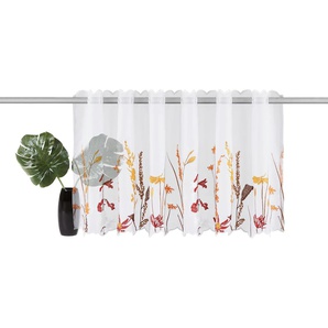Scheibengardine HOME AFFAIRE Bille Gardinen Gr. 60 cm, Durchzuglöcher, 120 cm, braun Scheibengardinen transparent Gardine transparent, echter Voile mit Stickerei, waschbar