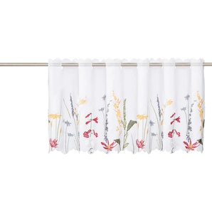 Scheibengardine HOME AFFAIRE Bille Gardinen Gr. 60 cm, Durchzuglöcher, 120 cm, bunt Scheibengardinen transparent Gardine transparent, echter Voile mit Stickerei, waschbar