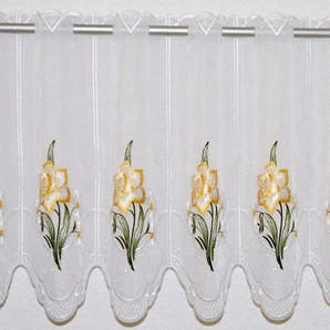 Scheibengardine STICKEREIEN PLAUEN Narzisse Gardinen Gr. 40 cm, Durchzuglöcher, 160 cm, weiß Scheibengardinen transparent Gardine veredelt mit echter Plauener Spitze Stickerei