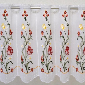 Scheibengardine STICKEREIEN PLAUEN Tulpe Gardinen Gr. 40 cm, Durchzuglöcher, 210 cm, weiß Scheibengardinen transparent Gardine veredelt mit echter Plauener Spitze Stickerei