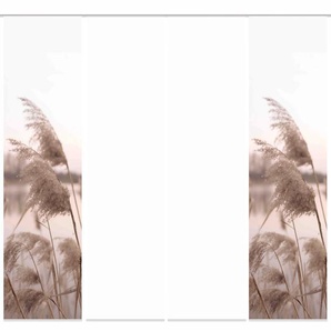 Schiebegardine HOME WOHNIDEEN TRAWY Gardinen Gr. 245 cm, Paneelwagen, 60 cm, beige (natur) Schiebegardinen blickdicht Schiebevorhang Digi 4er Set TRAWY