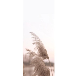 Schiebegardine HOME WOHNIDEEN TRAWY Gardinen Gr. 245 cm, Paneelwagen, 60 cm, beige (natur) Schiebegardinen blickdicht Schiebevorhang bedruckt