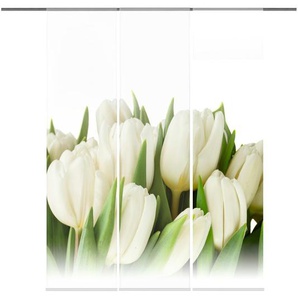 HOME Wohnideen Schiebevorhang Set 3tlg. | beige | 60 cm | 245 cm |