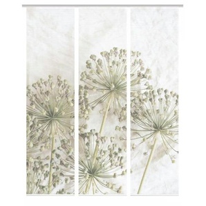 Schiebevorhang - creme - Synthetik - 60 cm - 245 cm | Möbel Kraft