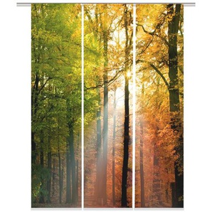 HOME Wohnideen Schiebevorhang | mehrfarbig | 60 cm | 245 cm |