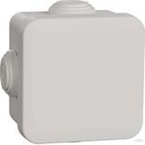 Schneider Electric Abzweigdose 65X65X45 weiss IMT05022