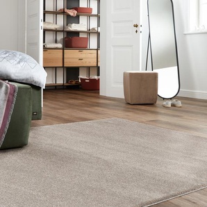 Hochflorteppich Pure 200 x 290cm Beige/Beige