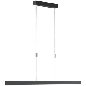 SCHÖNER WOHNEN Kollektion Pendelleuchte   ¦ schwarz ¦ Maße (cm): B: 5 H: 150 T: 140.0