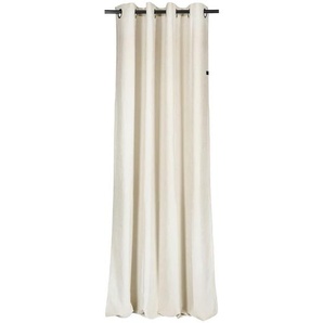 Schöner Wohnen Ösenschal SW-Peachy, Creme, Beige, Textil, Uni, 130x250 cm, Wohntextilien, Gardinen & Vorhänge, Fertiggardinen, Ösenschals