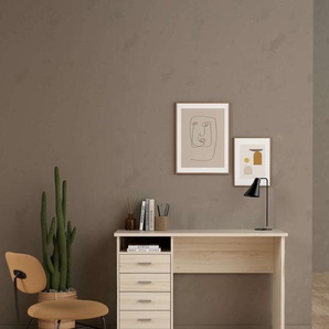 Schreibtisch HOME AFFAIRE Funktion Plus, Arbeitstisch, Bürotisch Tische Gr. B/H/T: 110 cm x 76 cm x 48,5 cm, braun (jasmund) Schreibtische