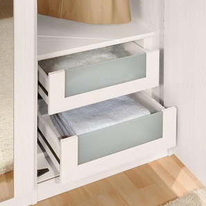 Schubkasteneinsatz 47 x 41 x 52cm Beige Treeline Dekor/Glas - 50er Breite Spanplatte, foliert Absetzung: Glas