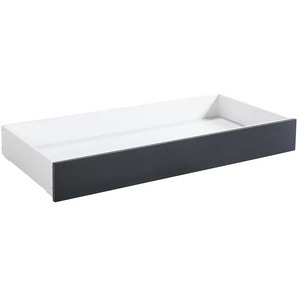 Schublade HASENA Roll-Box Schubladen Gr. B/H: 137 cm x 19 cm, zerlegt, grau (anthracit) Schubkästen