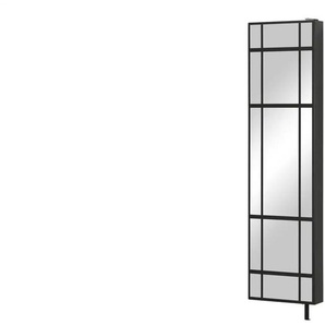 Schuh- und Mehrzweckschrank  Pictura ¦ silber ¦ Maße (cm): B: 47 H: 176 T: 12.0