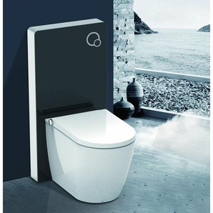 Schwarzglas Sanitärmodul für Stand-WC inkl. Betätigungsplatte