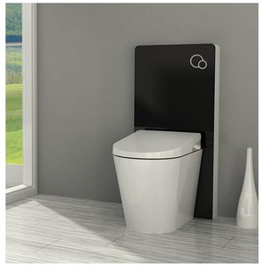 Impex-bad - Schwarzglas Sanitärmodul für Stand-WC inkl. Betätigungsplatte