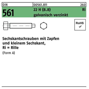 Sechskantschraube DIN 561 m.Zapfen AM 20 x 120 22 H (8.8) galvanisch verzinkt
