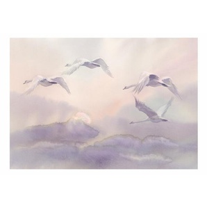 Seidenmatte Fototapete Flying Swans