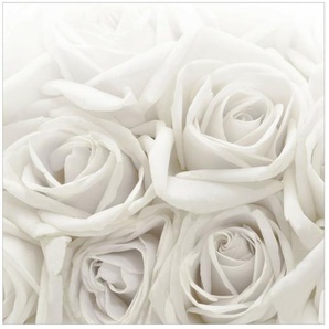Seidenmatte Fototapete White Roses