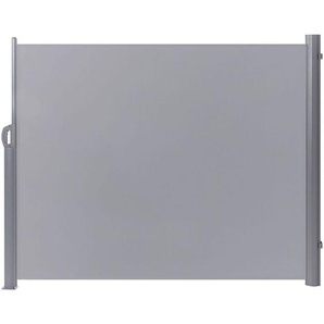 Seitenmarkise Hellgrau Aluminium 160x300 cm ausziehbar mit Standfuß wasserabweisender UV-beständiger Stoff Outdoor Garten Terrasse