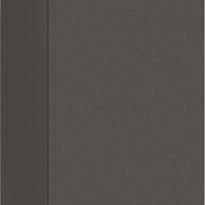 Seitenschrank WIHO KÜCHEN Esbo Schränke Gr. B/H/T: 50 cm x 200 cm x 57 cm, 1 St., grau (front und korpus: anthrazit) Seitenschränke