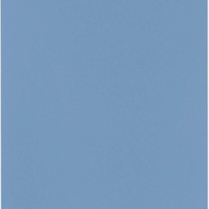Seitenschrank WIHO KÜCHEN Husum Schränke Gr. B/H/T: 50 cm x 200 cm x 57 cm, 1 St., blau (front: himmelblau, korpus: weiß) Seitenschränke