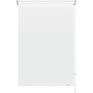 Seitenzug-Rollo Lichtdurchlässig Weiß