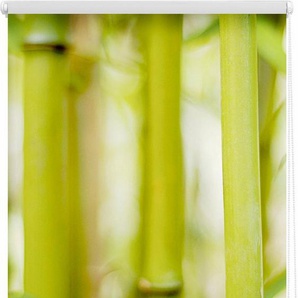 Seitenzugrollo Klemmfix Motiv Bambus, LICHTBLICK ORIGINAL, Lichtschutz, ohne Bohren, freihängend, Klemmfix, bedruckt