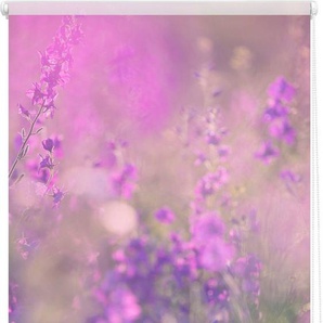 Seitenzugrollo Klemmfix Motiv Blumenwiese, LICHTBLICK ORIGINAL, Lichtschutz, ohne Bohren, freihängend, Klemmfix, bedruckt