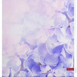 Seitenzugrollo Klemmfix Motiv Hortensie, LICHTBLICK ORIGINAL, Lichtschutz, ohne Bohren, freihängend, Klemmfix, bedruckt