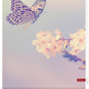 Seitenzugrollo Klemmfix Motiv Schmetterling, LICHTBLICK ORIGINAL, Lichtschutz, ohne Bohren, freihängend, Klemmfix, bedruckt