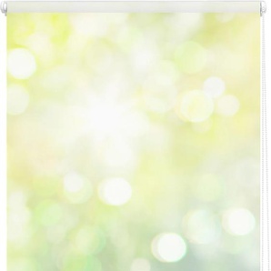 Seitenzugrollo LICHTBLICK ORIGINAL Klemmfix Motiv Lichtspiel Rollos Gr. 150 cm, 100 cm, grün (grün, gelb, weiß) Rollos ohne Bohren Rollo bedruckt