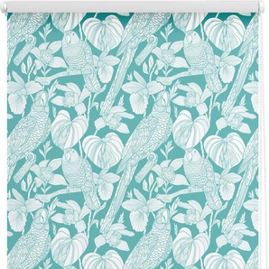 Seitenzugrollo LICHTBLICK ORIGINAL Klemmfix Motiv Papagei Rollos Gr. 150 cm, 120 cm, blau (türkis, weiß) Rollos ohne Bohren Rollo bedruckt