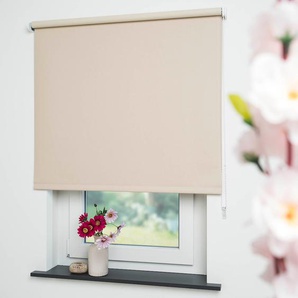 Seitenzugrollo LIEDECO Uni Rollos Gr. 180 cm, 182 cm, beige (cream) Verdunkelungsrollos Rollo