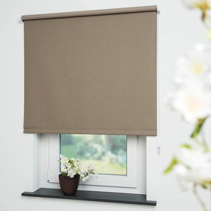 Seitenzugrollo LIEDECO Uni Rollos Gr. 180 cm, 182 cm, braun (kaffee) Verdunkelungsrollos Rollo
