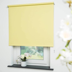 Seitenzugrollo LIEDECO Uni Rollos Gr. 180 cm, 182 cm, gelb Verdunkelungsrollos Rollo