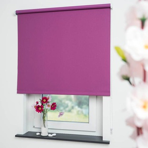 Seitenzugrollo LIEDECO Uni Rollos Gr. 180 cm, 182 cm, lila (brombeere) Verdunkelungsrollos Rollo