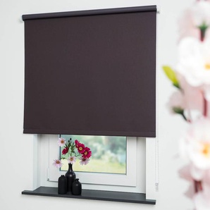 Seitenzugrollo LIEDECO Uni Rollos Gr. 180 cm, 202 cm, braun (cappuccino) Verdunkelungsrollos Rollo
