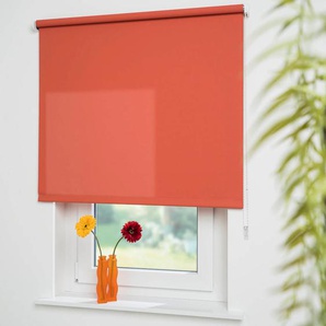 Seitenzugrollo LIEDECO Uni Rollos Gr. 180 cm, 212 cm, orange (terrakotta, bitte auswählen) Seitenzugrollos Welle 36 mm stabiler Kettenzug